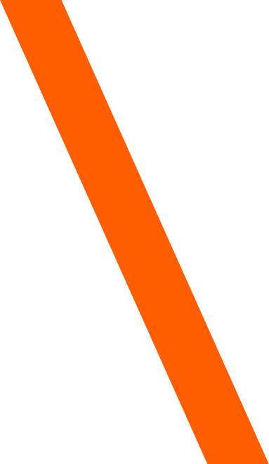 Men's Wellness - Image 29